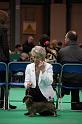 Crufts2011_2 1427